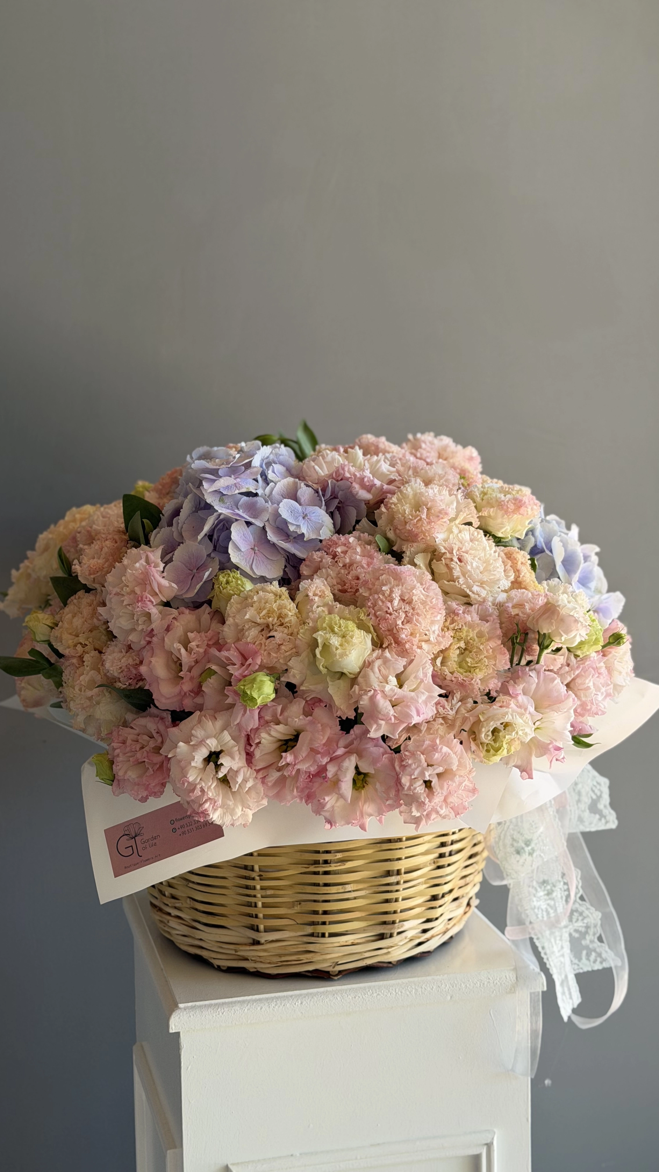 Gl Basket Hydrangea Li̇syantus