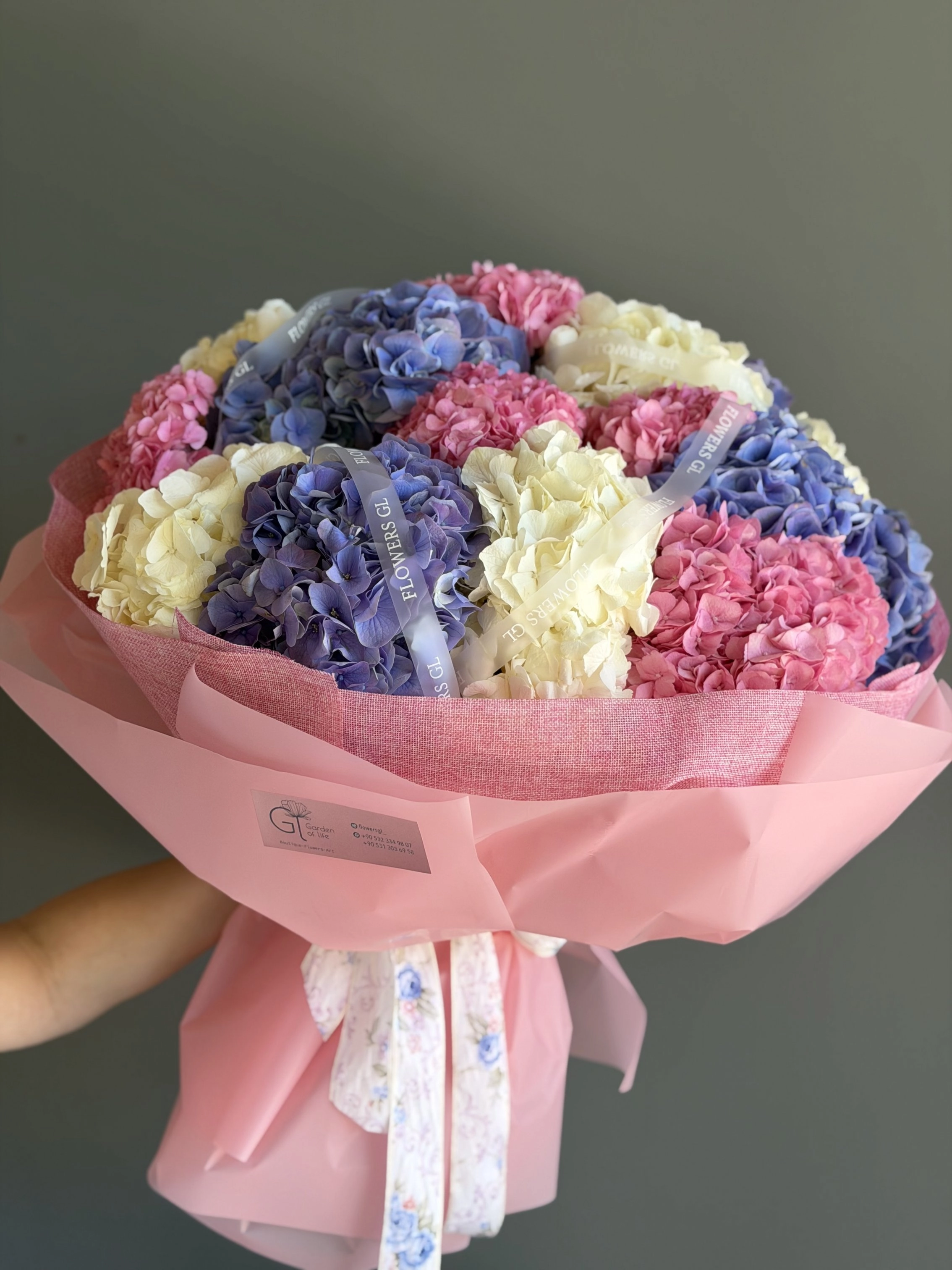 15 Hydrangea
