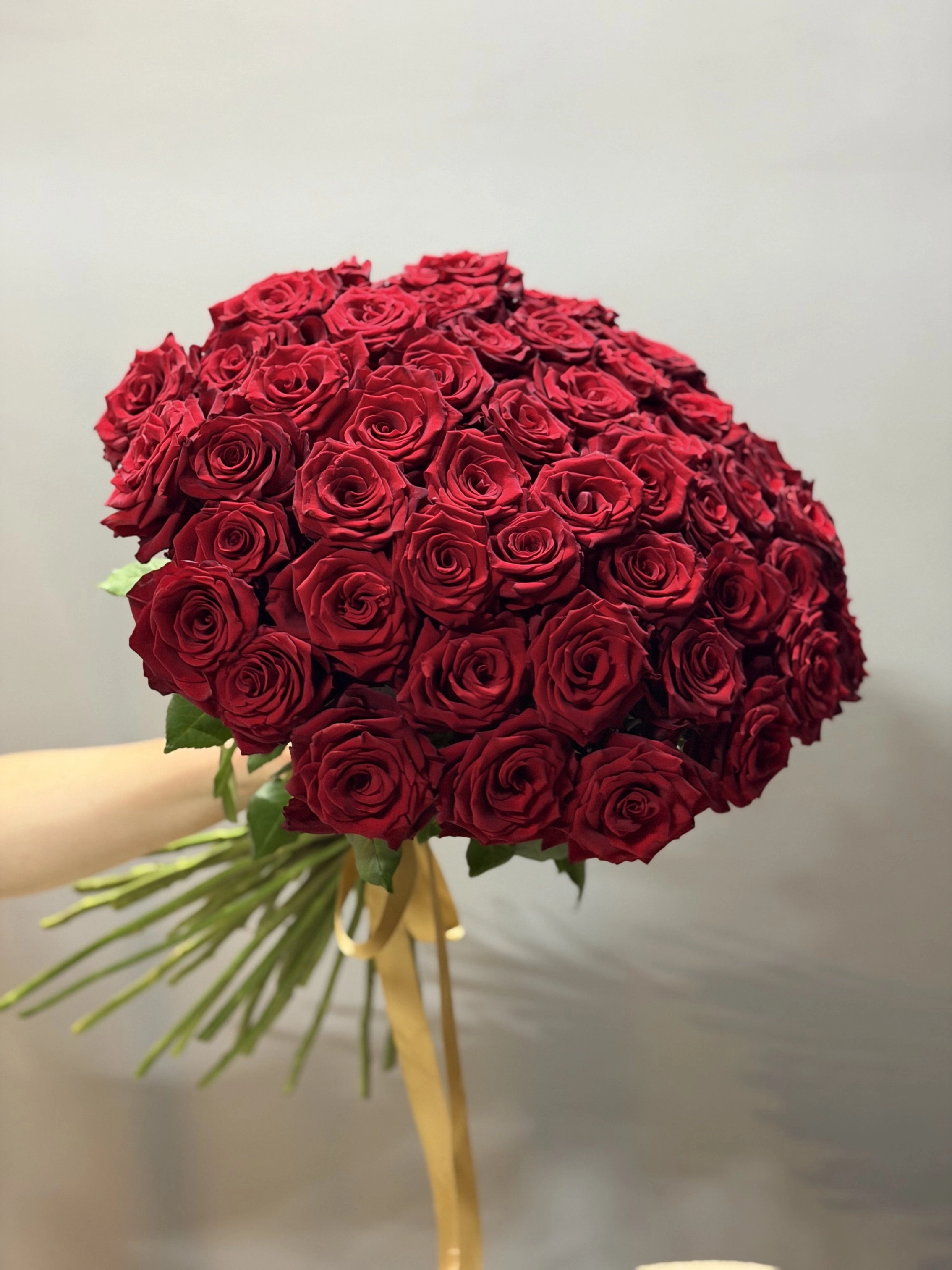 51 Red Rose 