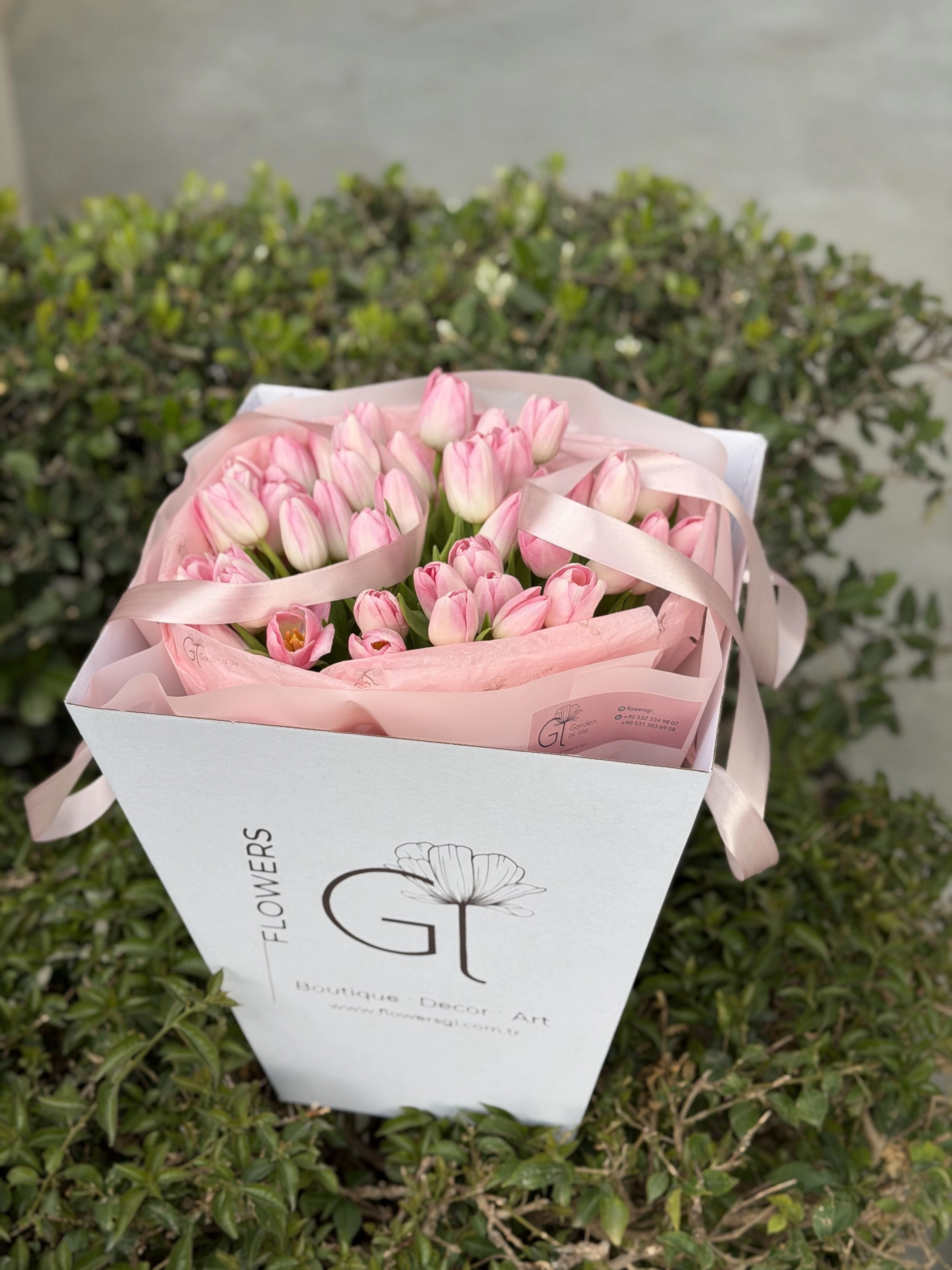 51 Tulip