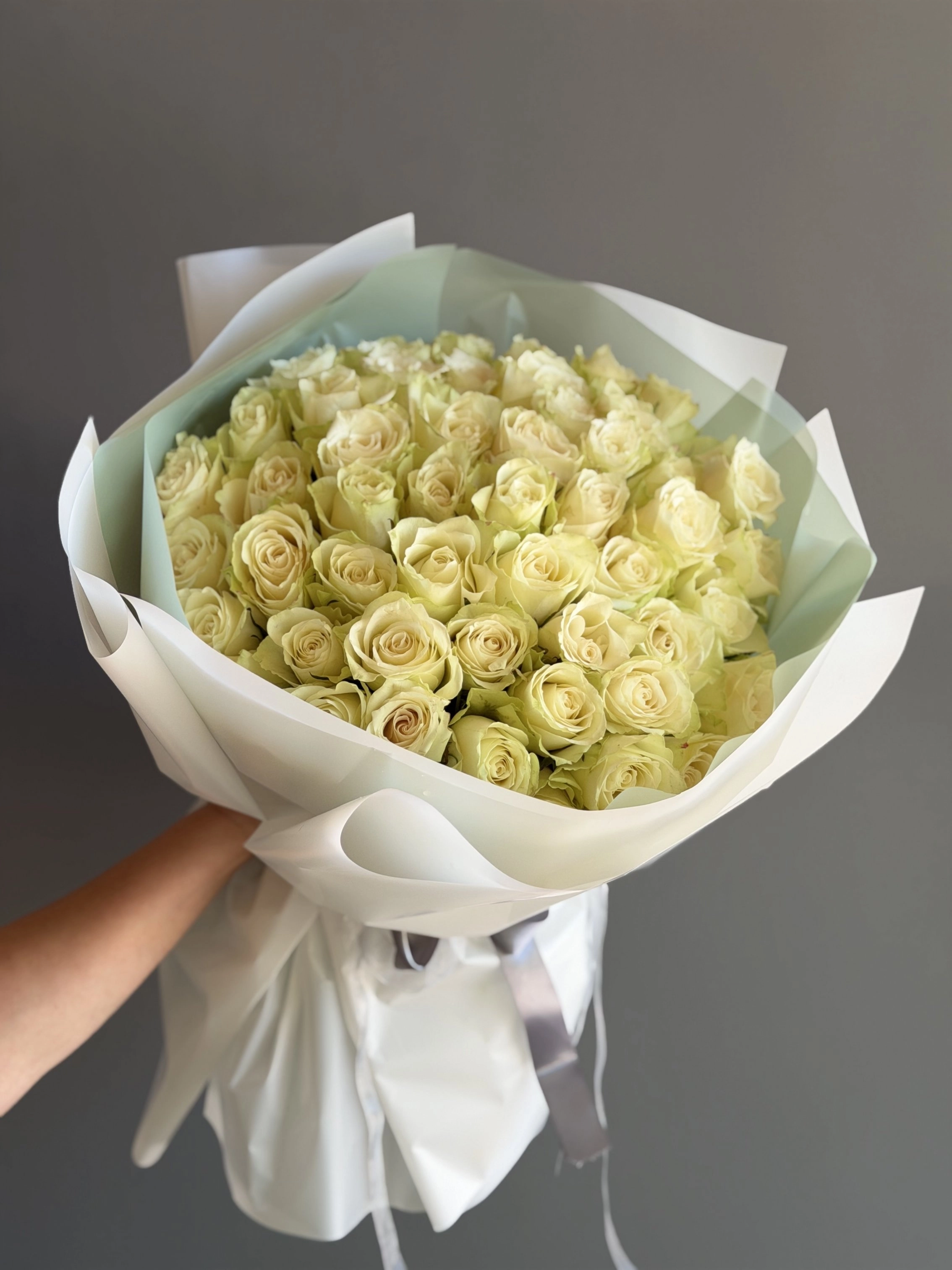 51 White Rose