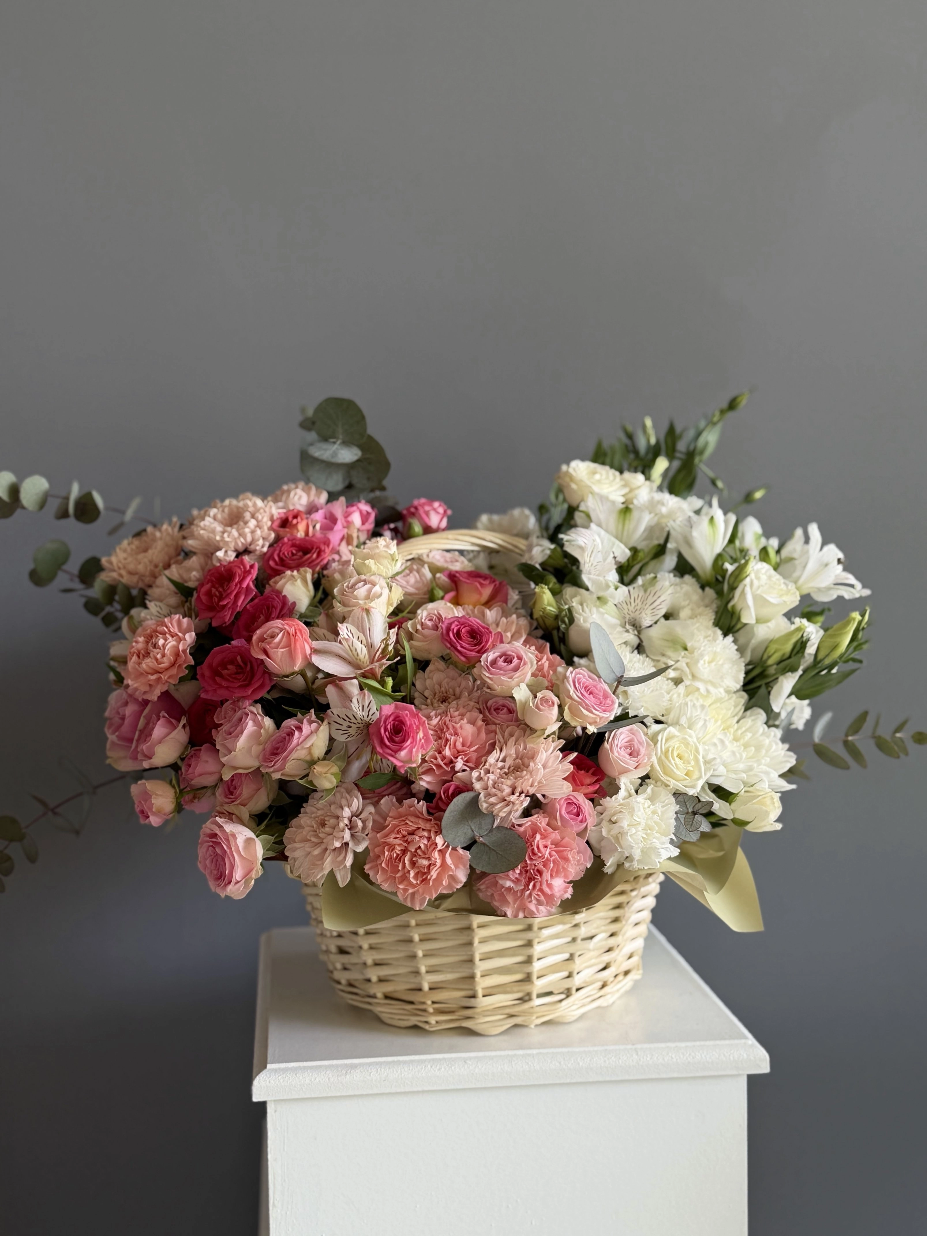 Gl Bloom 