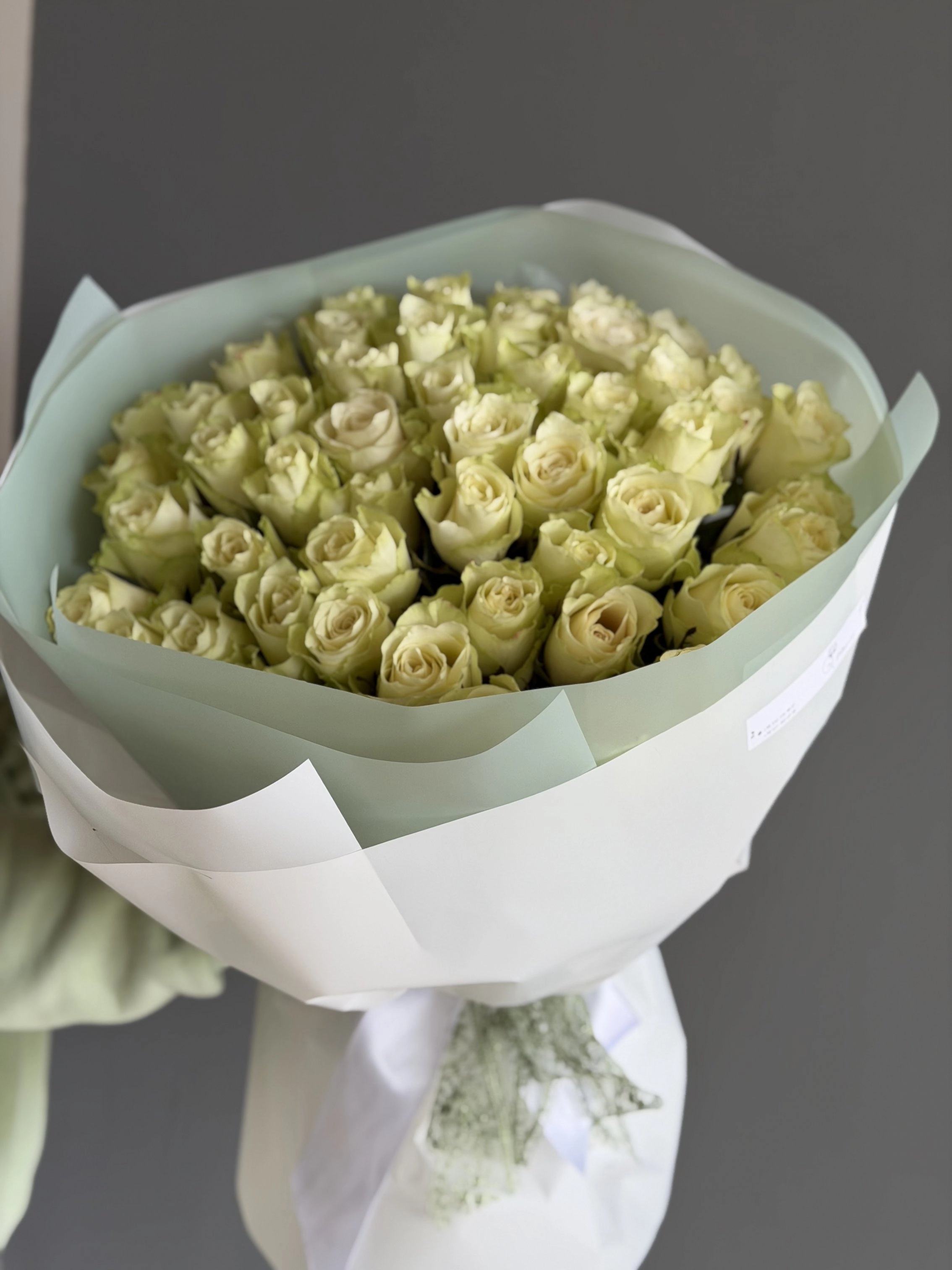 Whi̇te Rose 51 